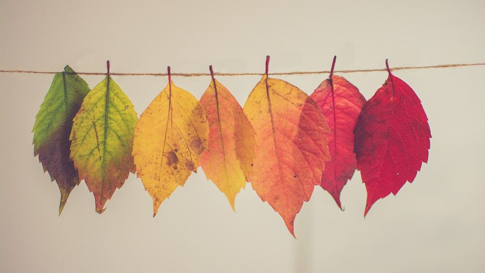 Adaptability